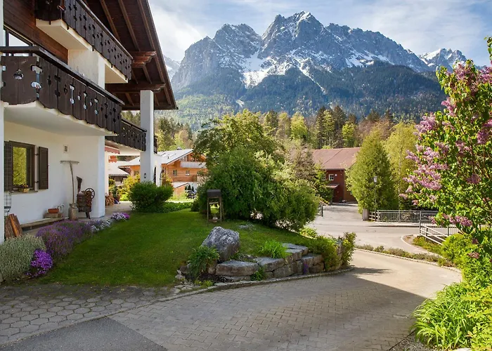 Aschaubichl - Bergaurikel